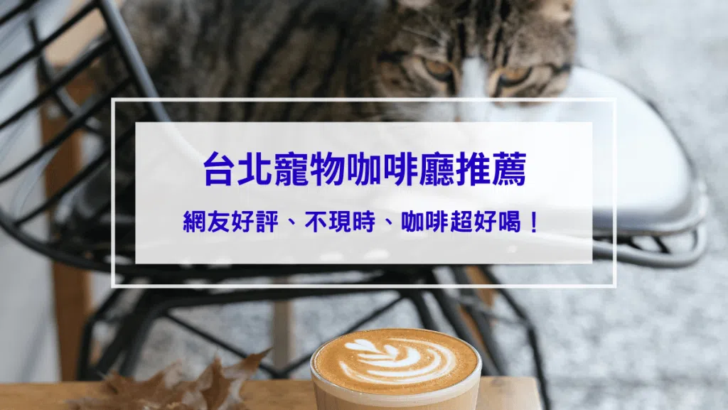 2026台北寵物咖啡廳推薦｜超萌店毛孩來坐鎮，還有機會領養流浪貓狗！