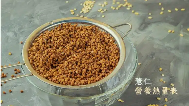 薏仁熱量與營養價值分析