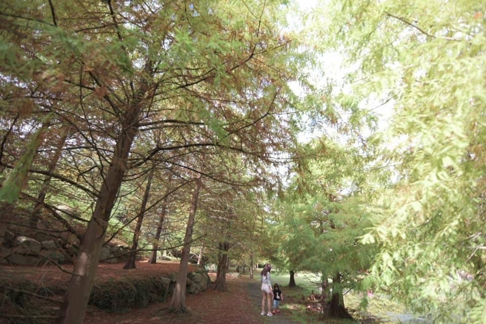 2026連假去哪玩?推薦全台好玩景點報你知! 叮咚News|分享新奇與樂趣