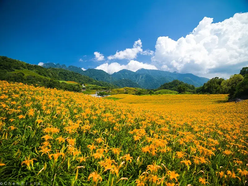 暑假去哪玩-東部景點推薦｜花蓮 – 六十石山