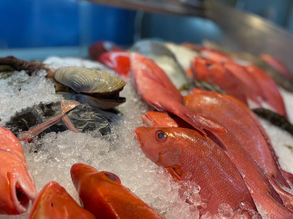 新鮮魚貨