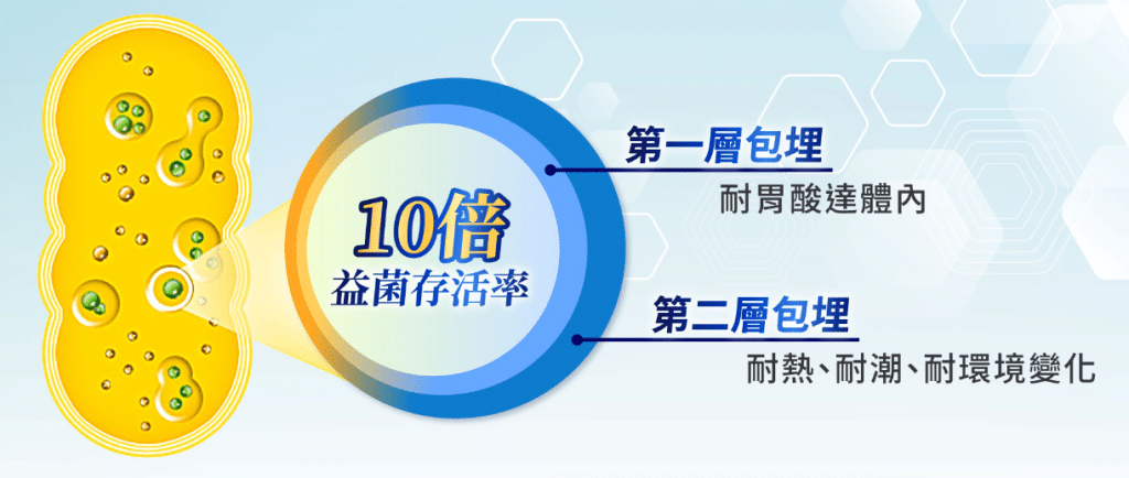 叮咚News｜分享新奇與樂趣