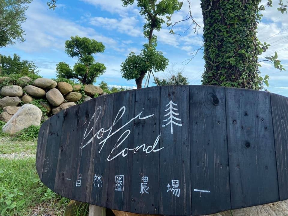 叮咚News｜分享新奇與樂趣