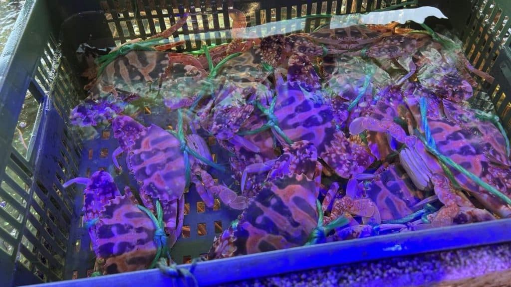 叮咚News｜分享新奇與樂趣
