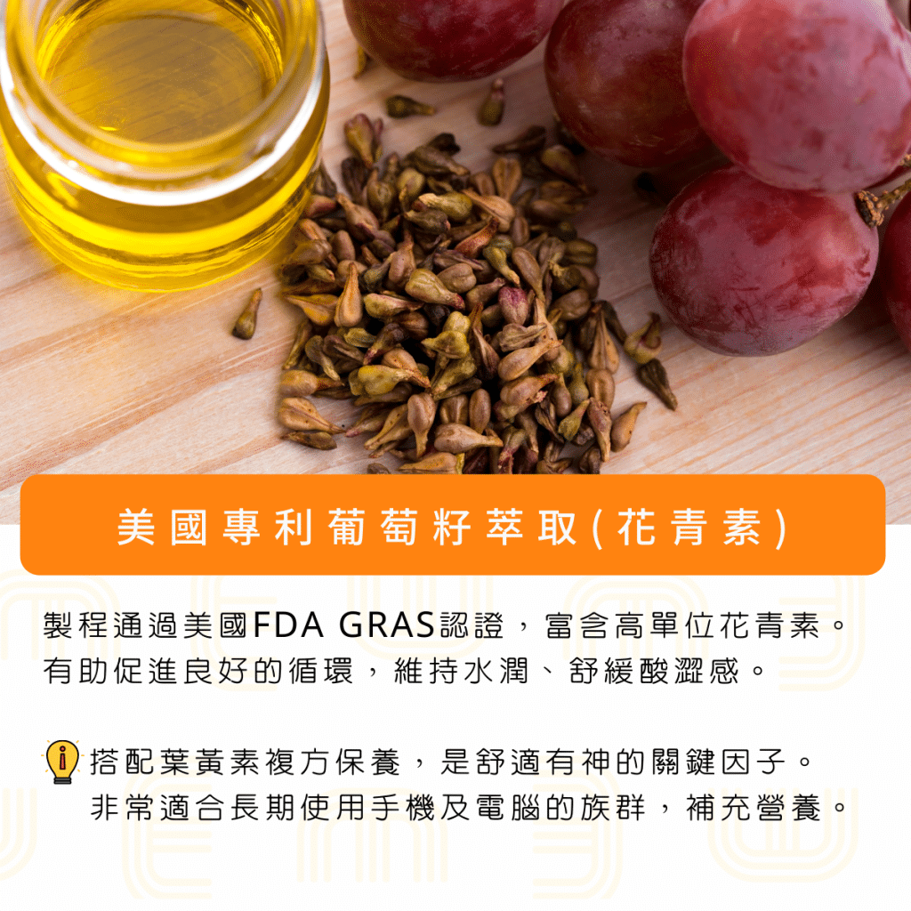 叮咚News｜分享新奇與樂趣