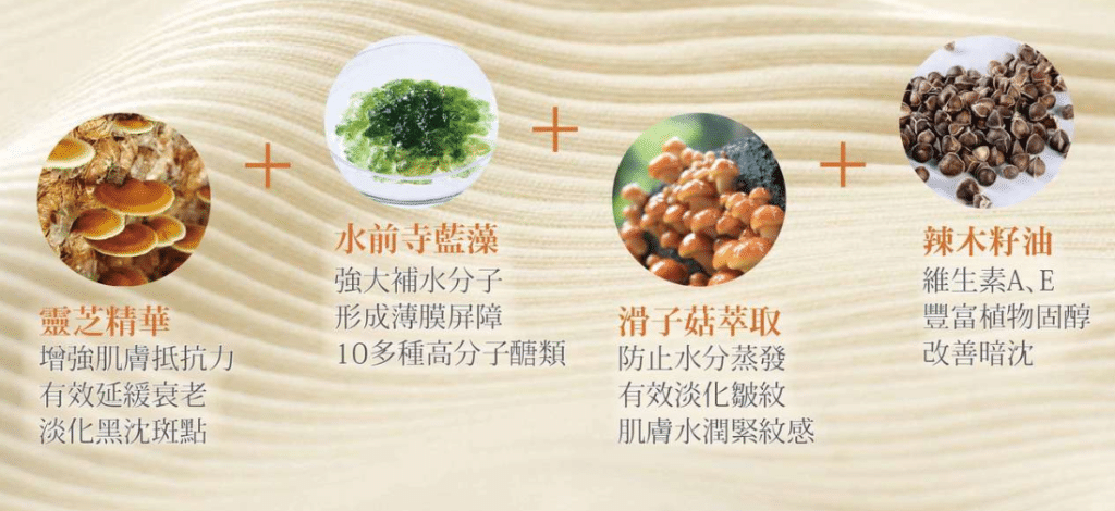 叮咚News｜分享新奇與樂趣