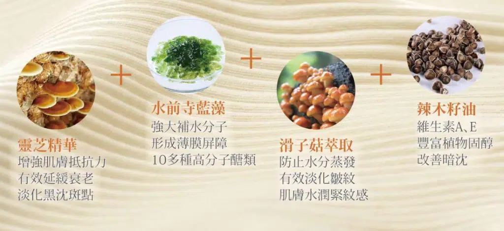馬上下單 – FIORINA 菲奧莉娜 – 專屬優惠連結-6