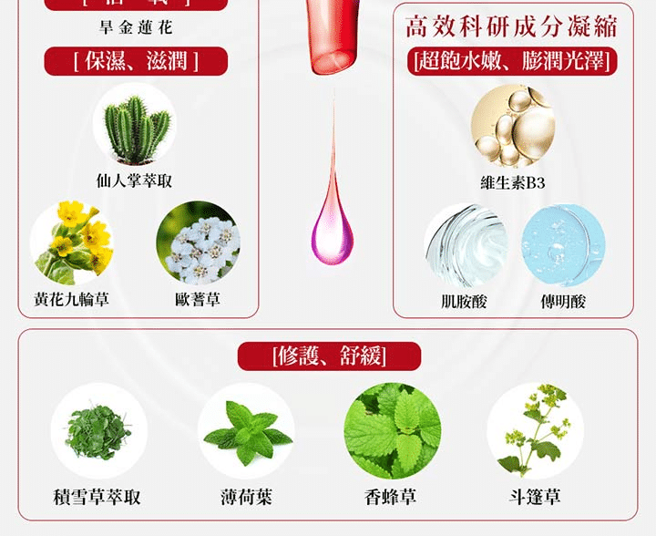 叮咚News｜分享新奇與樂趣