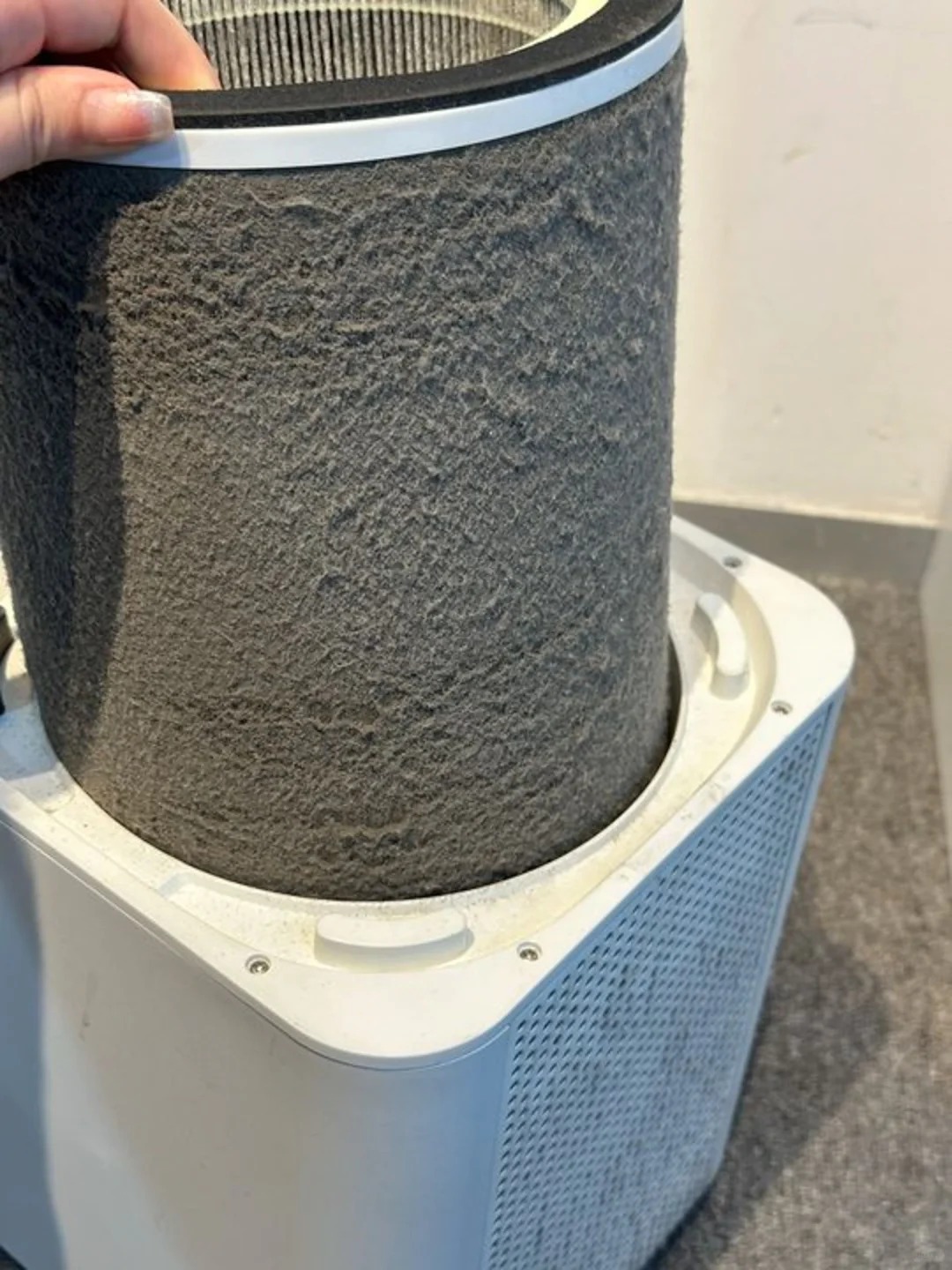空氣清淨機推薦|換季過敏必備:煙味、灰塵、貓狗毛、油煙通通過濾! 濾網型空氣清淨機