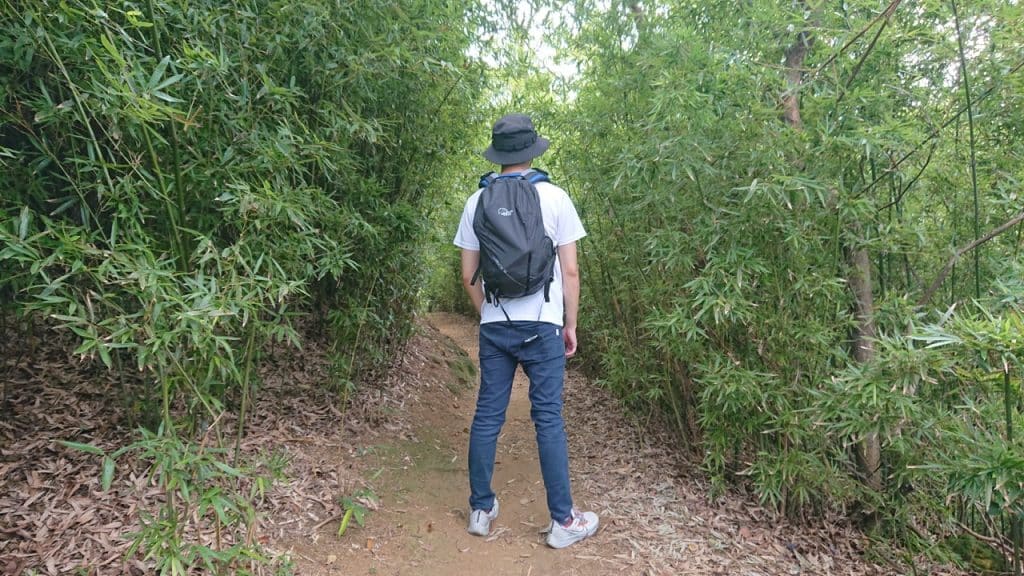 叮咚News｜分享新奇與樂趣