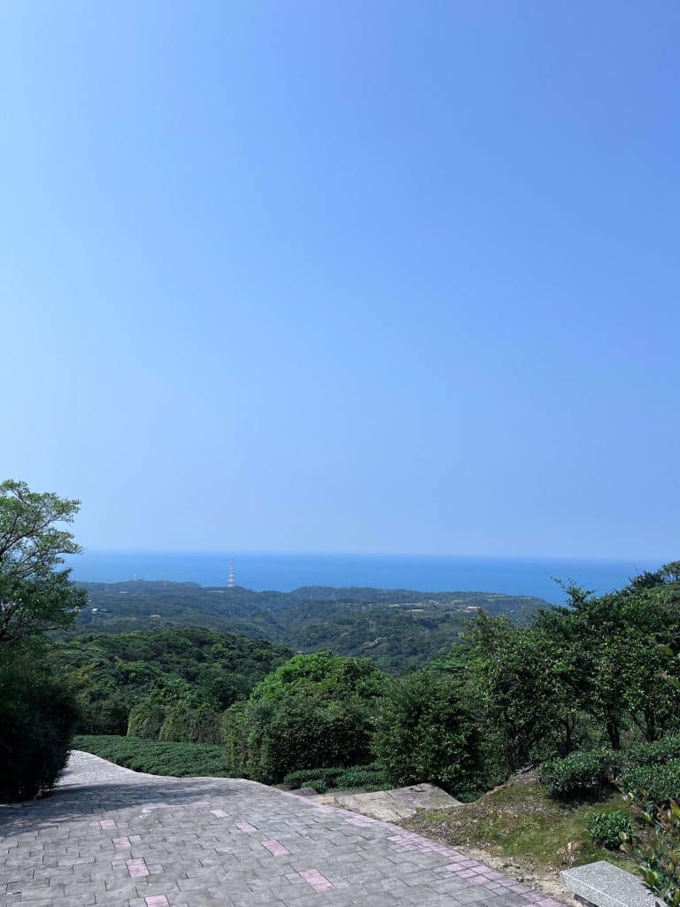 叮咚News｜分享新奇與樂趣