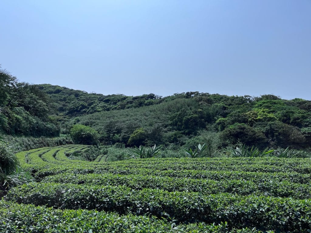 叮咚News｜分享新奇與樂趣
