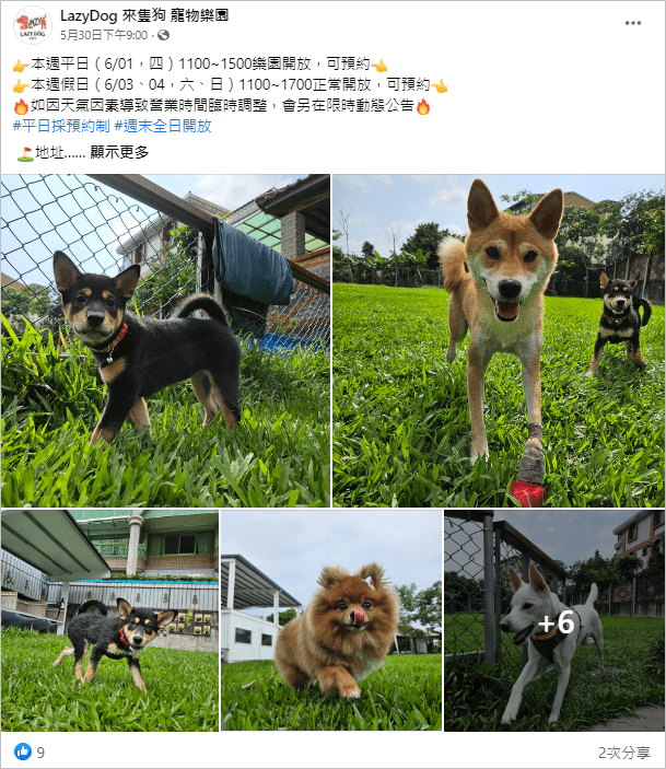 【台中寵物餐廳推薦】8間精選台中狗狗餐廳,享受被毛小孩圍繞的幸福 叮咚News|分享新奇與樂趣