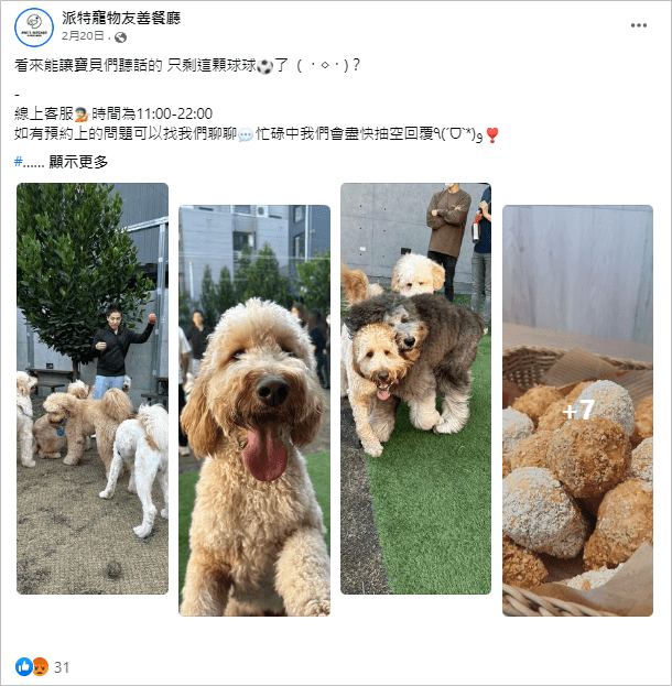 【台中寵物餐廳推薦】8間精選台中狗狗餐廳,享受被毛小孩圍繞的幸福 叮咚News|分享新奇與樂趣