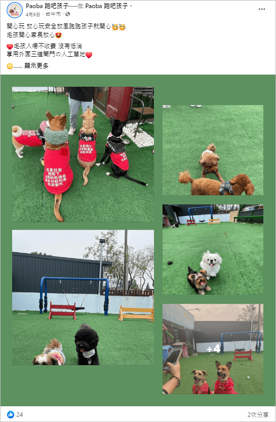 【台中寵物餐廳推薦】8間精選台中狗狗餐廳,享受被毛小孩圍繞的幸福 叮咚News|分享新奇與樂趣