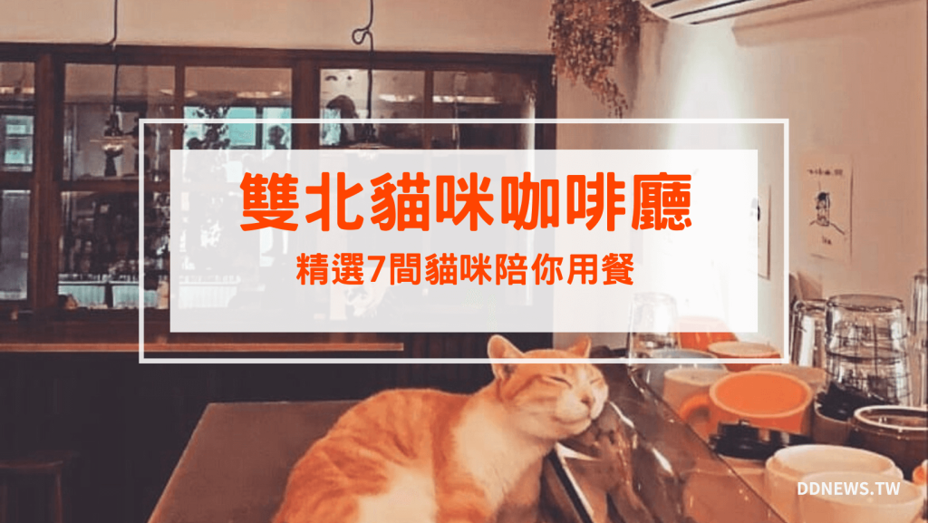 2026台北餐廳推薦|小編實地走訪測評,特色美食圖文介紹 叮咚News|分享新奇與樂趣