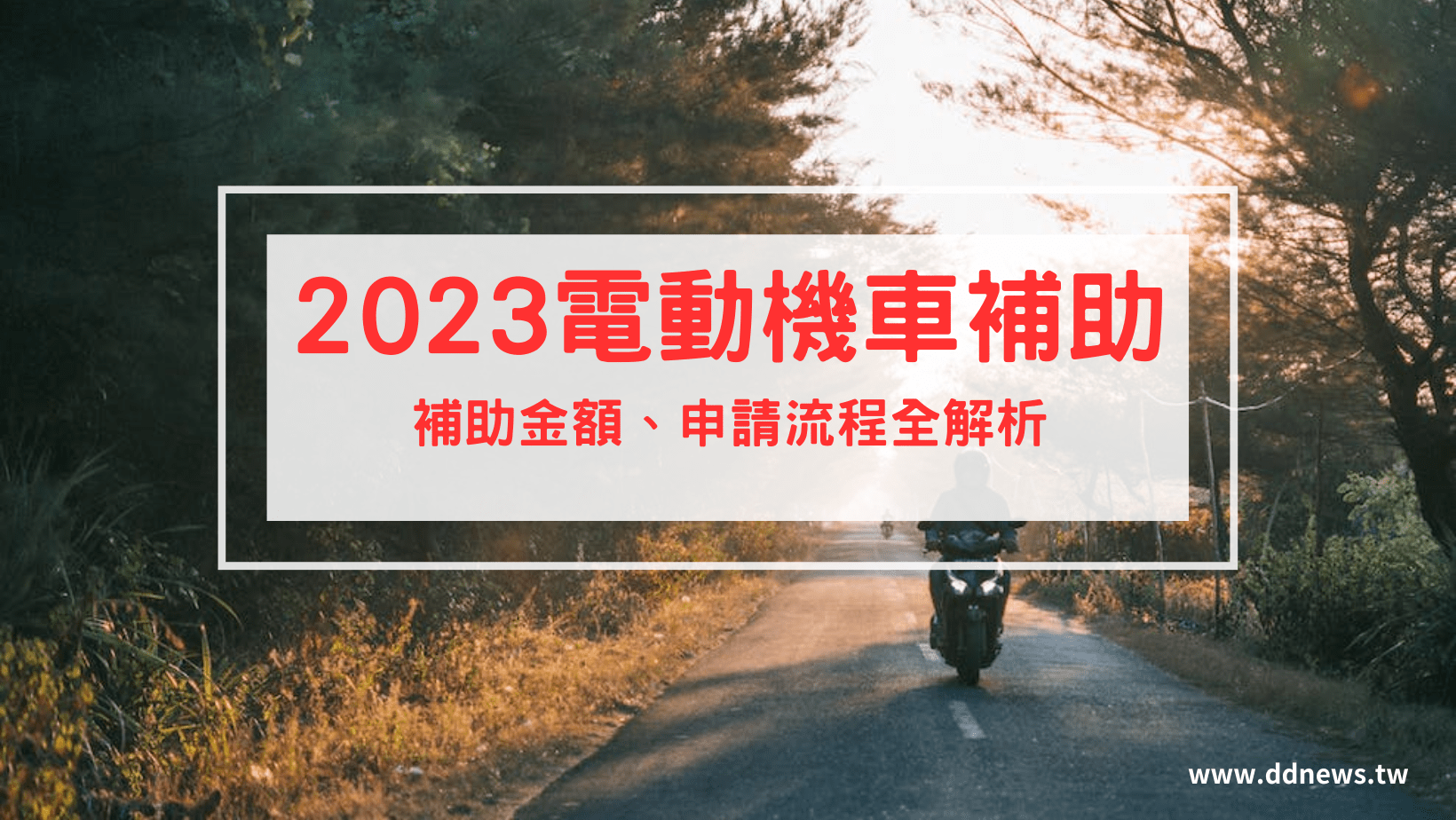 叮咚News｜分享新奇與樂趣