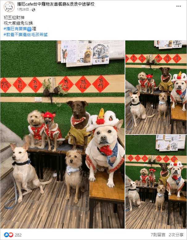 叮咚News｜分享新奇與樂趣