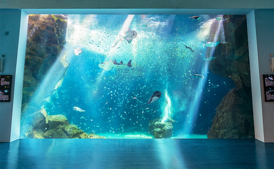 Xpark水族館-福爾摩沙Formosa