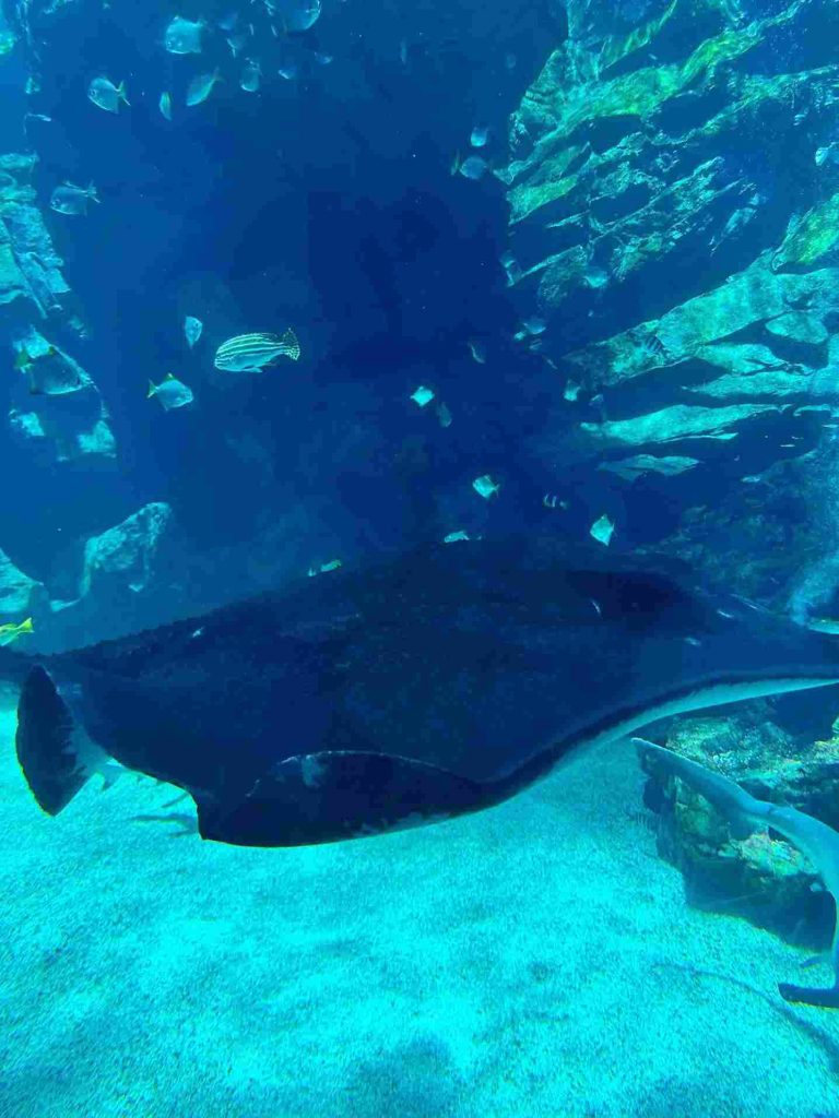 Xpark水族館-必逛場館