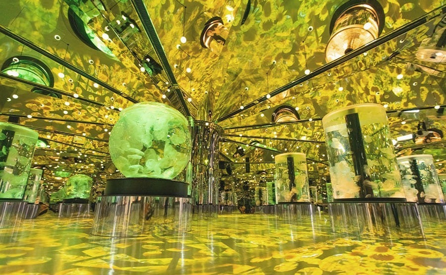 Xpark水族館-遇見水母館