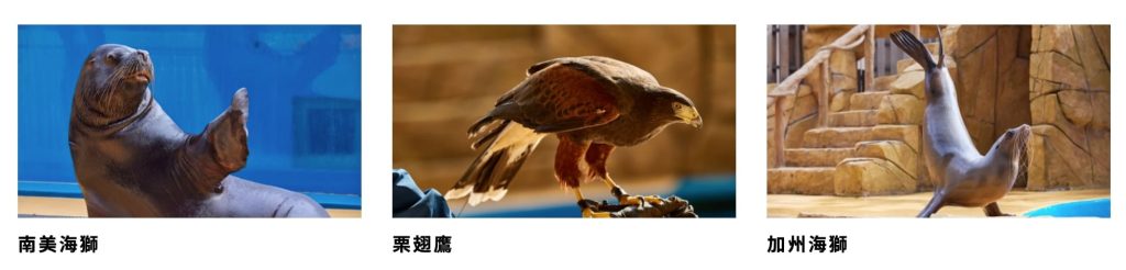 與眾同樂生態解說