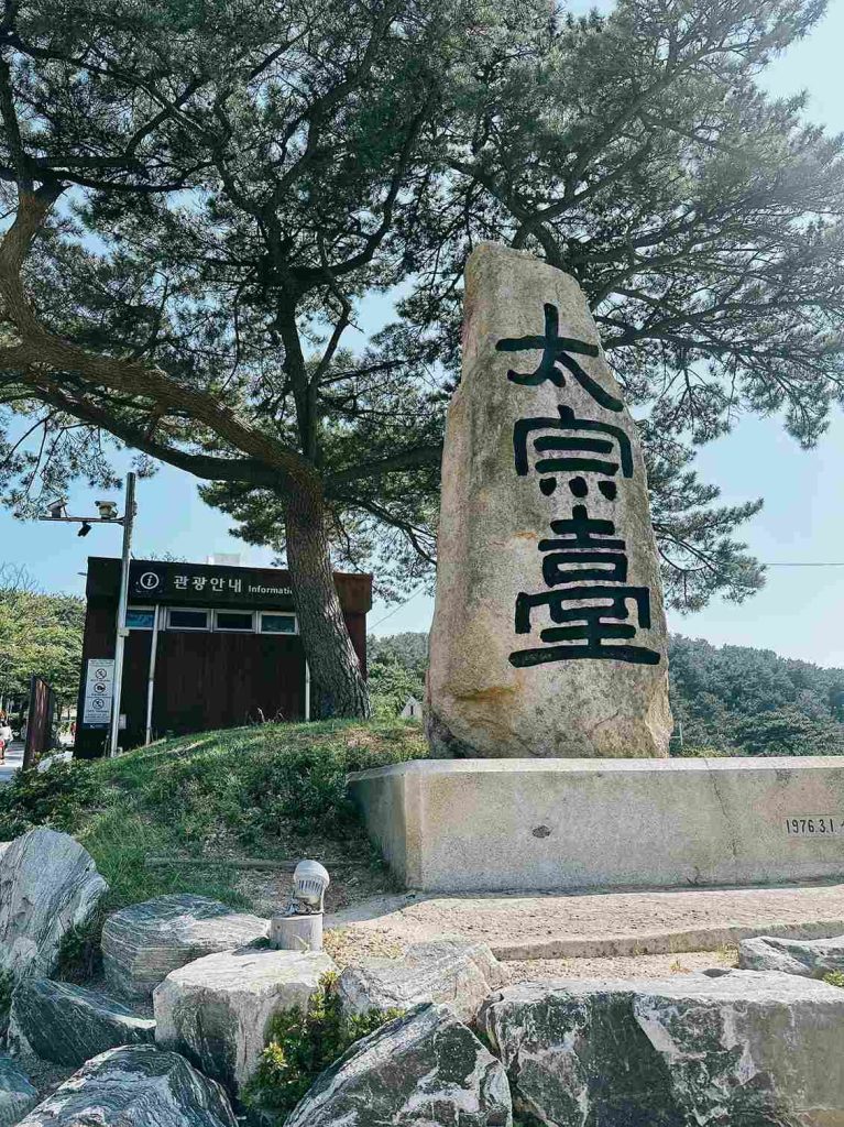 釜山景點推薦 5：太宗台