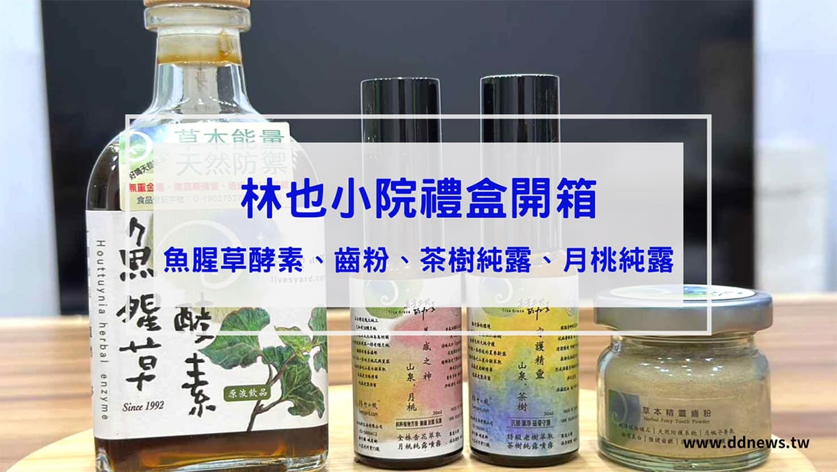 叮咚News｜分享新奇與樂趣