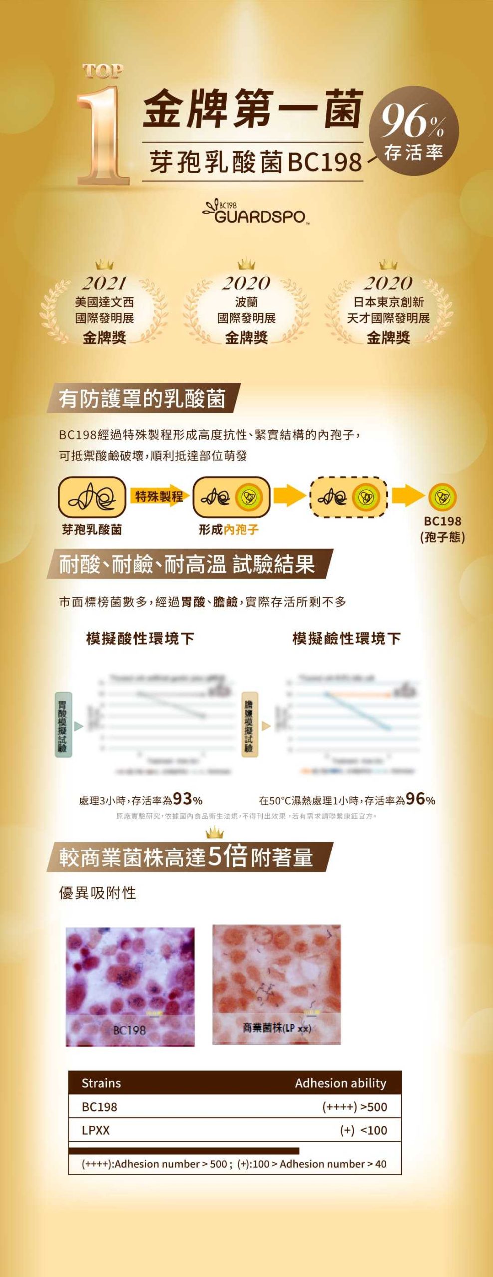 叮咚News｜分享新奇與樂趣