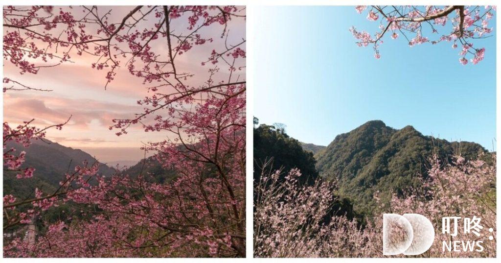 三峽景點