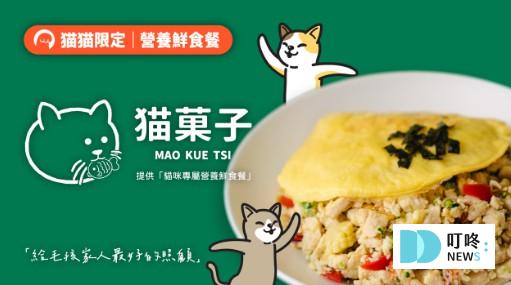 貓鮮食推薦｜貓菓子