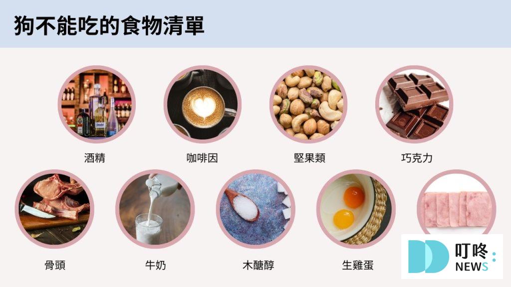 狗不能吃什麼蔬菜、水果?不可不知的常見食物,毛爸媽千萬別餵錯! 狗不能吃什麼蔬菜、水果?不可不知的常見食物,毛爸媽千萬別餵錯!