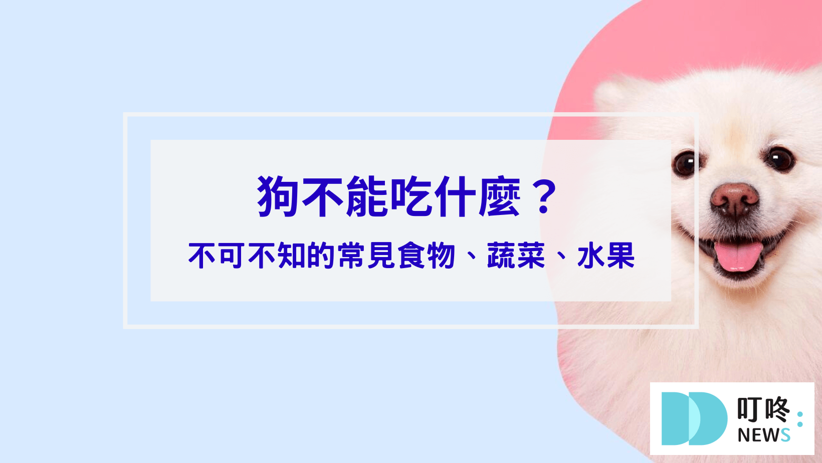寵物日常 叮咚News|分享新奇與樂趣