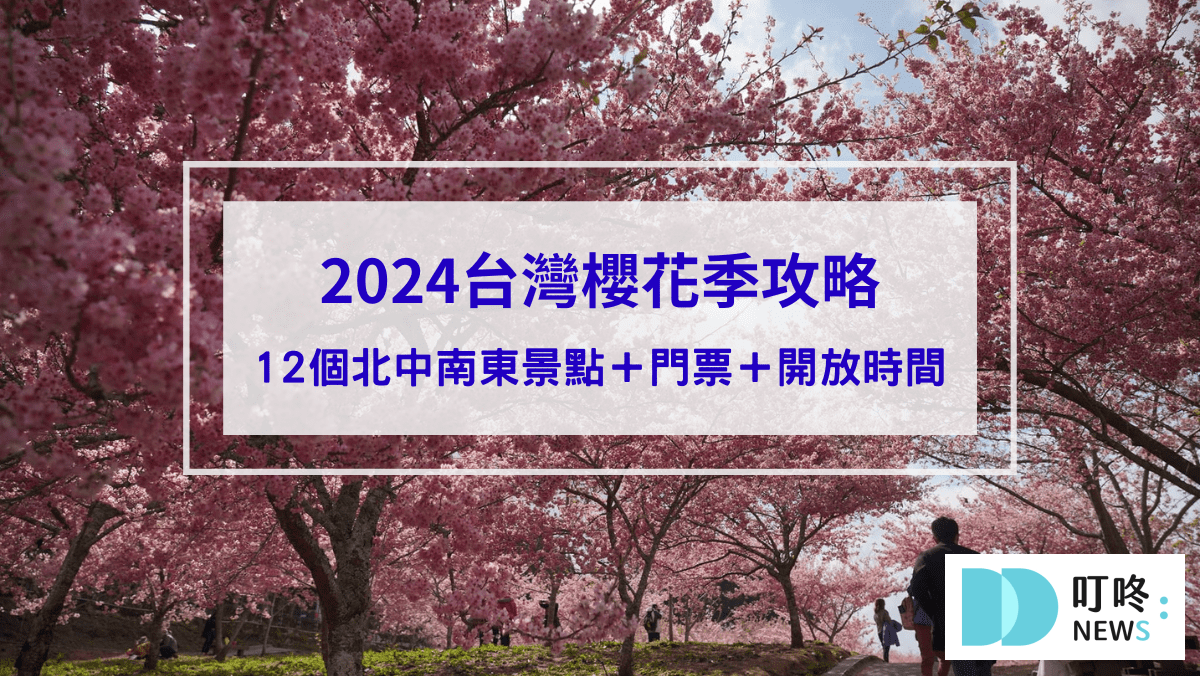 叮咚News｜分享新奇與樂趣