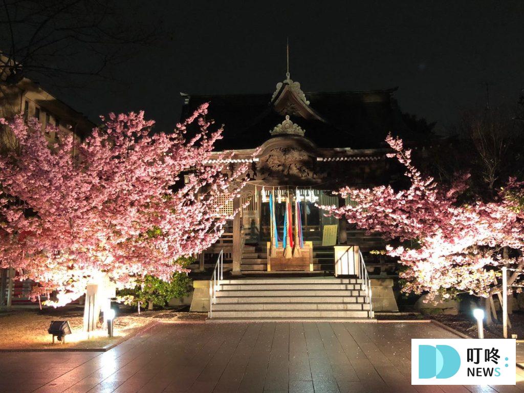 2024東京櫻花季