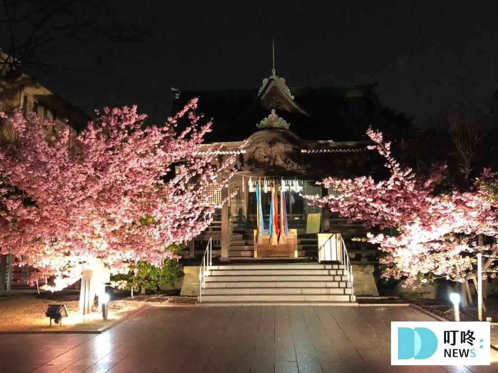 2024東京櫻花季