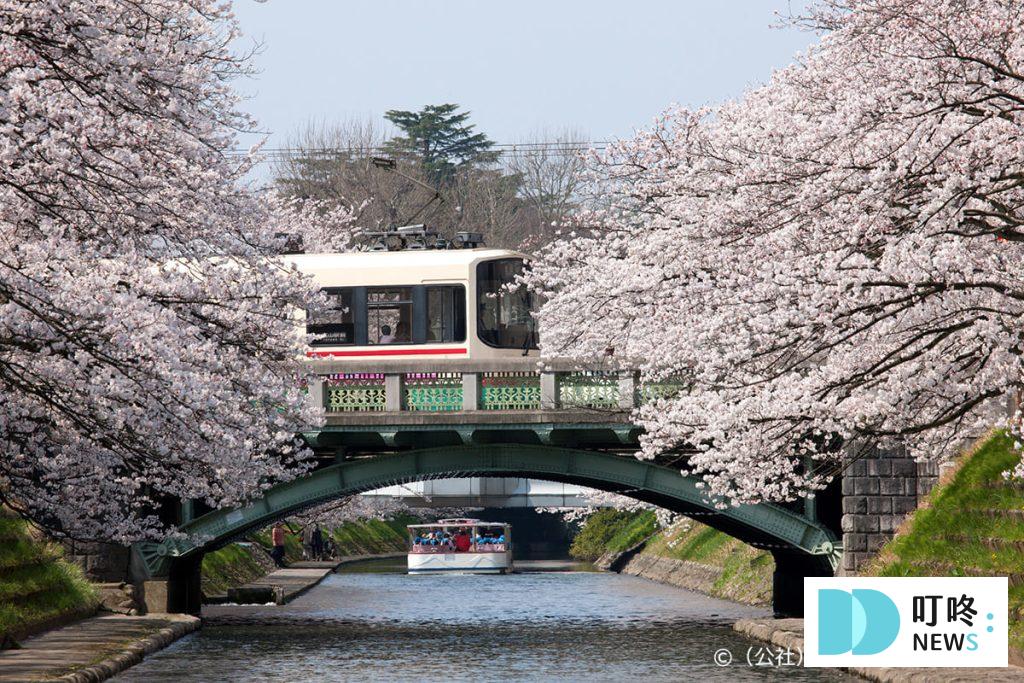 2024東京櫻花季