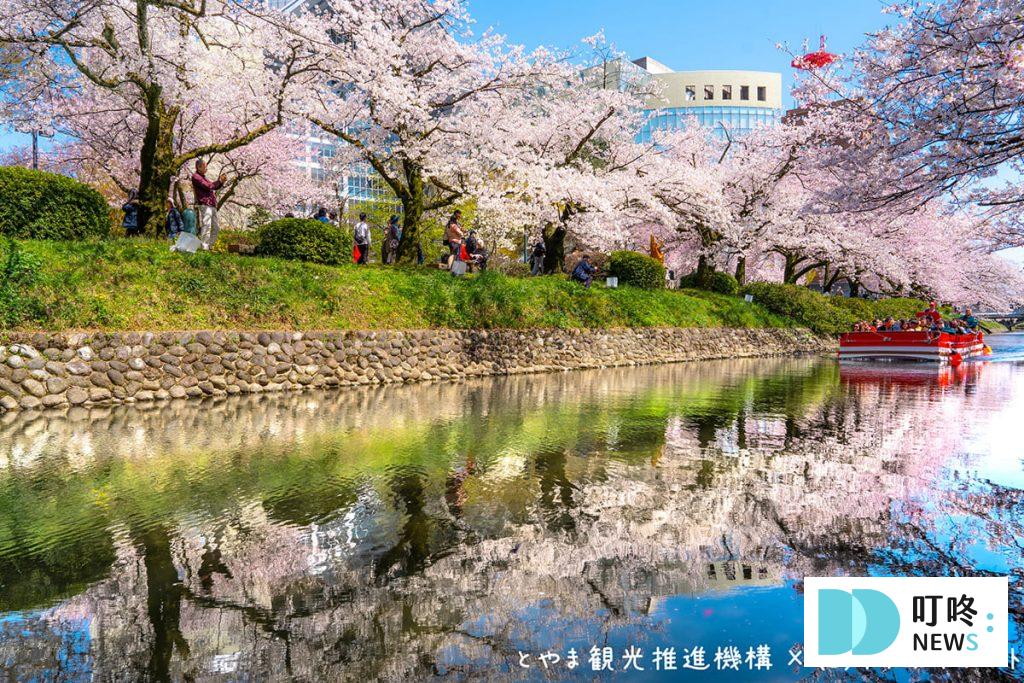 2024東京櫻花季