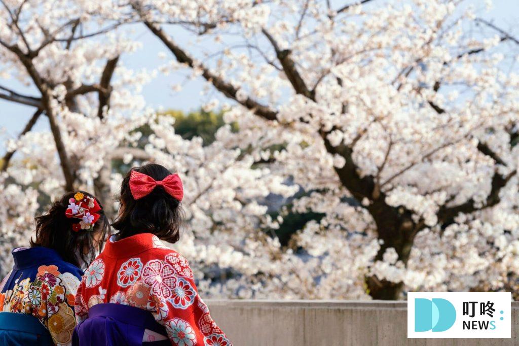 2024東京櫻花季 東京櫻花3月底滿開 絕不能錯過的10個東京賞櫻景點報你知 (1)