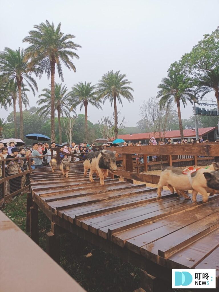 埔心牧場露營