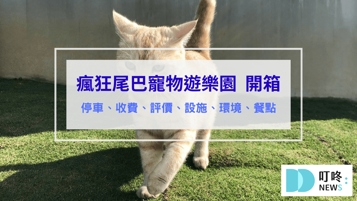 寵物日常 瘋狂尾巴寵物遊樂園
