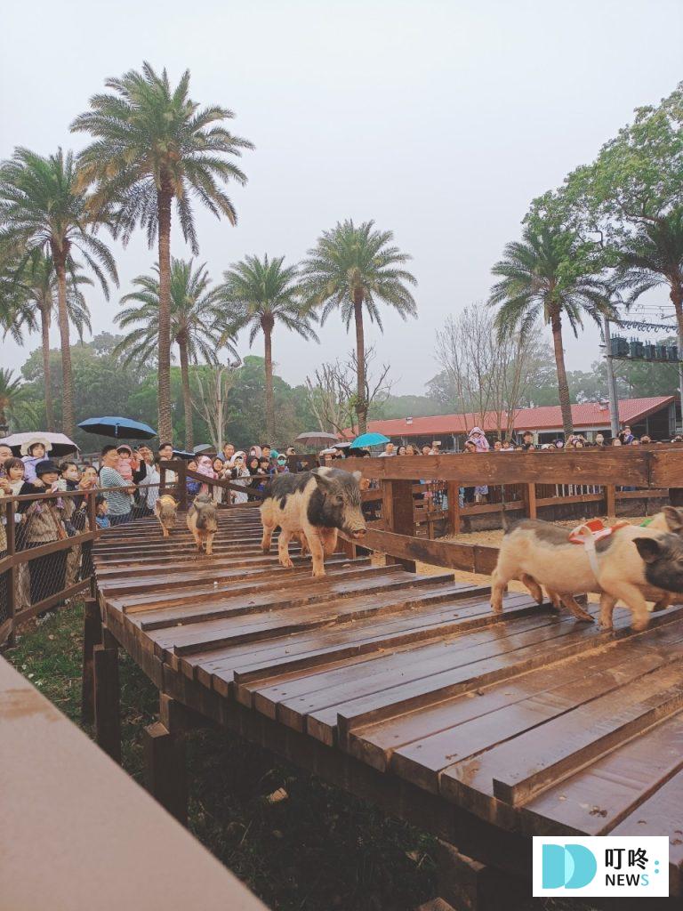 埔心牧場露營