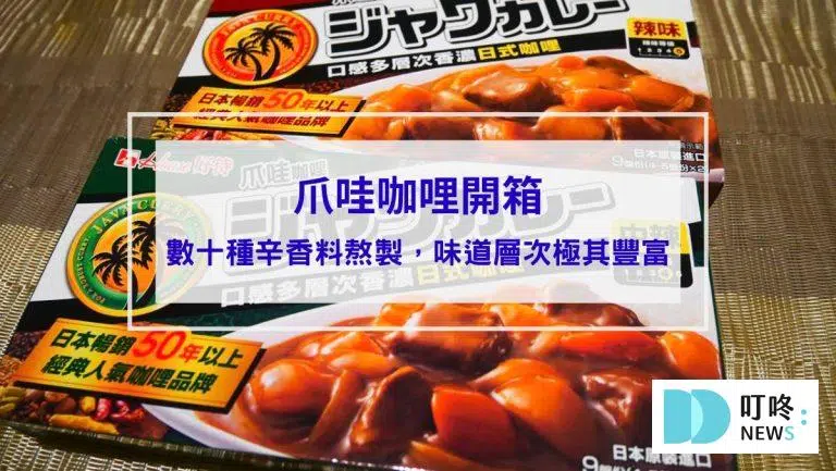【爪哇咖哩開箱】數十種辛香料熬製，味道層次極其豐富，超過50年熱銷的咖哩商品！