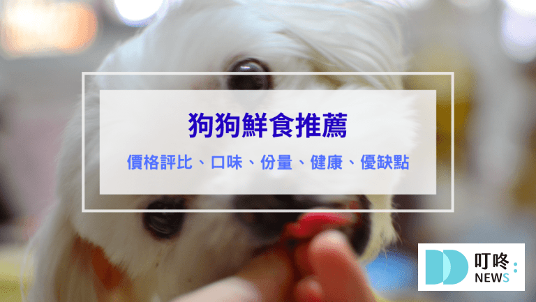 叮咚News｜分享新奇與樂趣