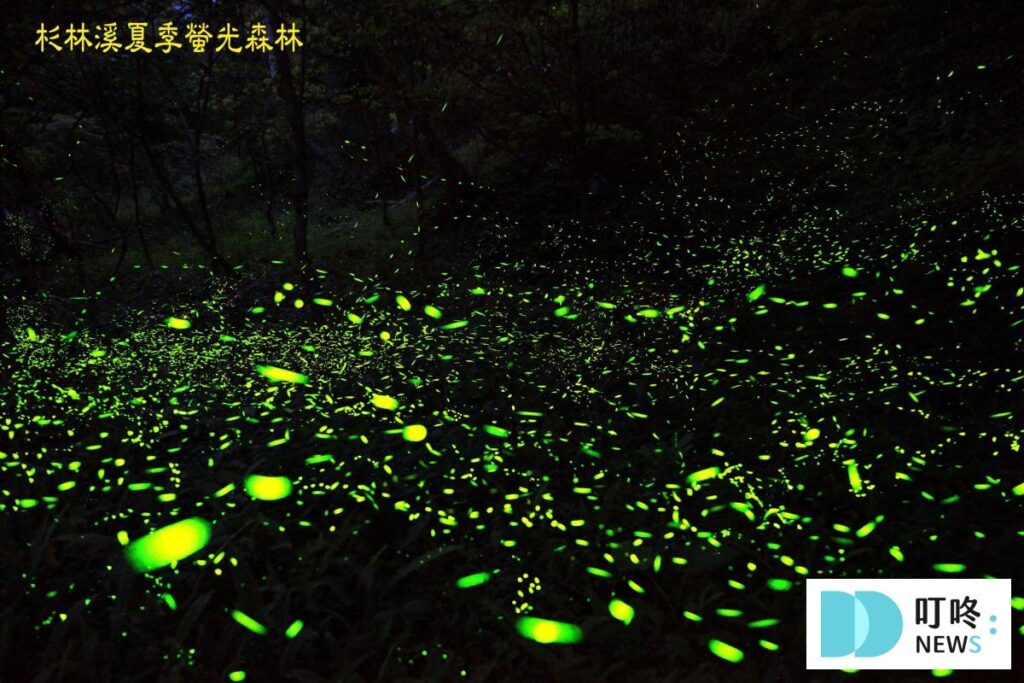 8.南投-杉林溪