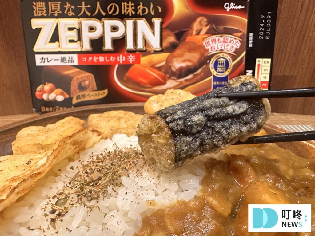 【ZEPPIN 咖哩開箱】 紅酒牛肉超級推薦!連4年獲得國際風味特賞的咖哩塊! ZEPPIN 咖哩_中辛咖哩5