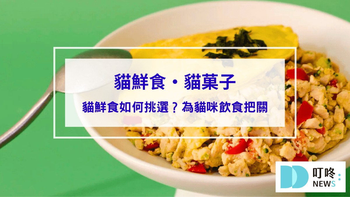 寵物日常 【貓菓子】貓鮮食開箱:精選入門5種口味,貓咪實測好不好吃