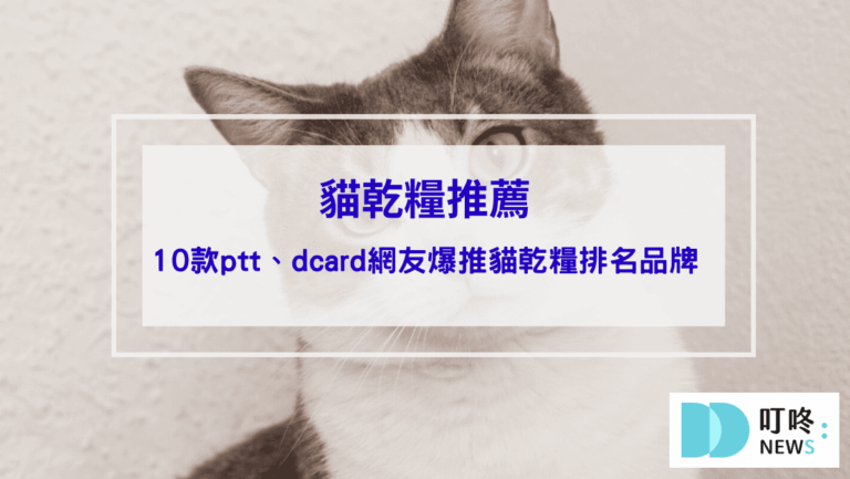 寵物日常 貓乾糧推薦|10款ptt、dcard網友爆推貓乾糧排名品牌,如何挑選保存貓乾糧、注意事項一次看
