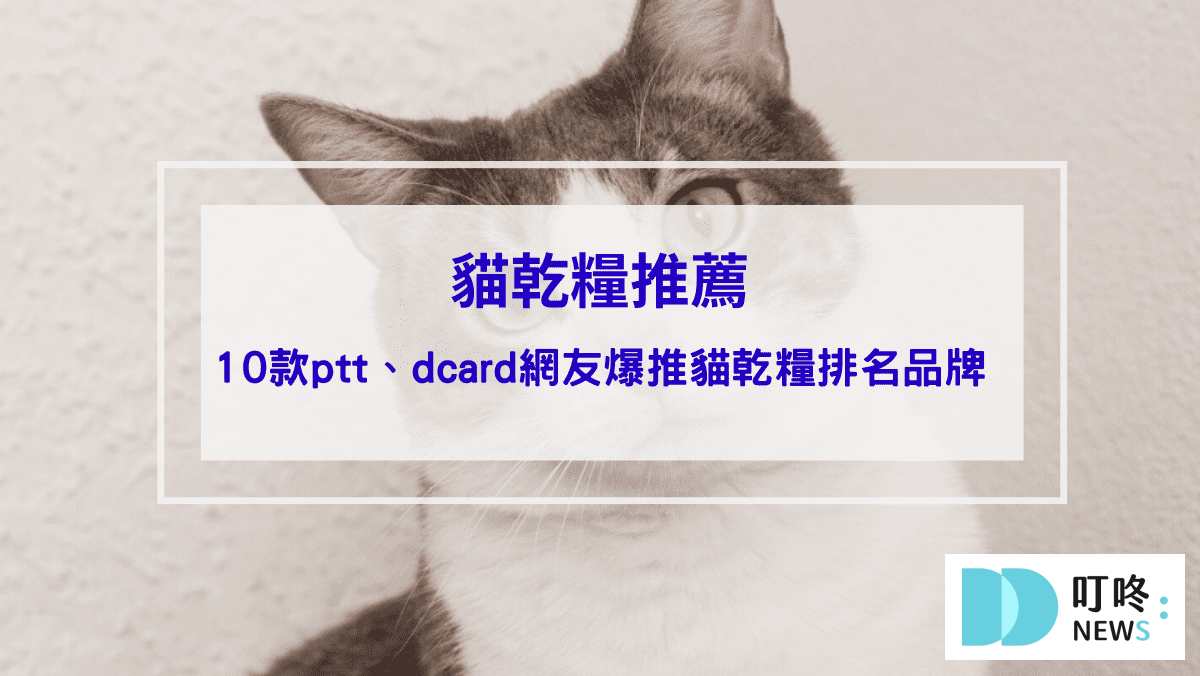 寵物日常 貓乾糧推薦|10款ptt、dcard網友爆推貓乾糧排名品牌,如何挑選保存貓乾糧、注意事項一次看