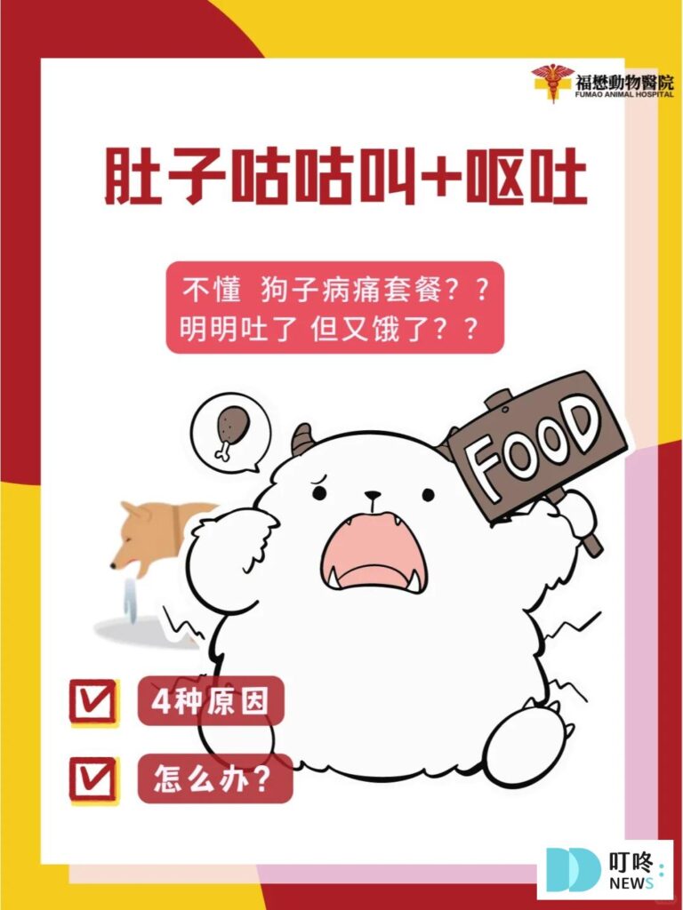 狗狗肚子一直叫